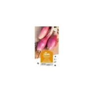 Oignon rouge long de Florence (sachet)