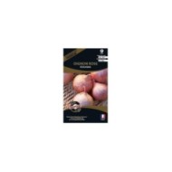 Oignon rose Rosanna (sachet)