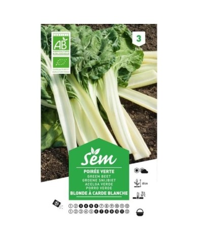 Poirée verte à carde blanche Bio (sachet)