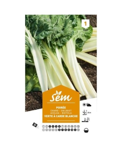 Poirée verte carde blanche (sachet)