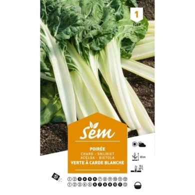 Poirée verte carde blanche (sachet)