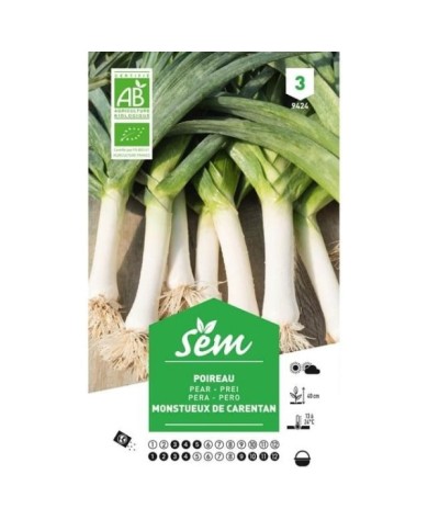 Poireau monstrueux de Carentan Bio (sachet)