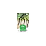 Poireau monstrueux de Carentan Bio (sachet)