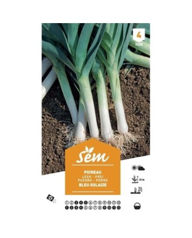Poireau bleu de Solaize XXL (sachet)