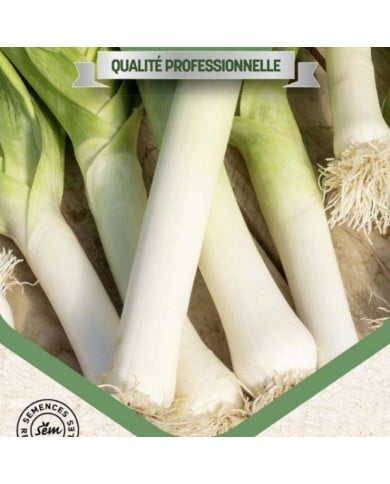 Poireau Jaune du Poitou
