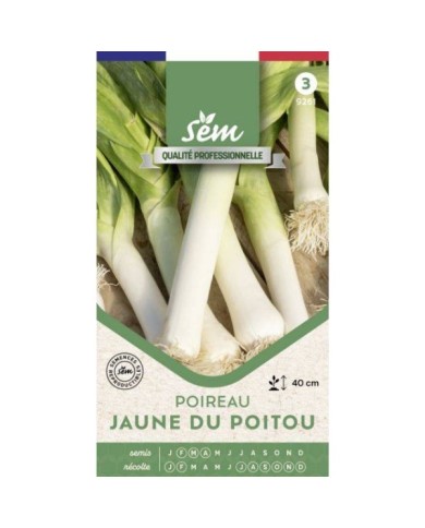 Poireau Jaune du Poitou