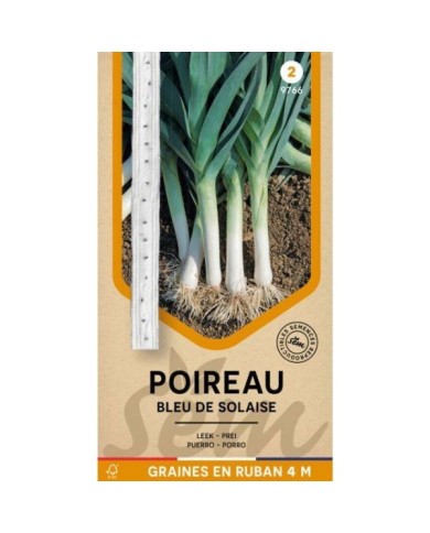 Poireau Bleu de Solaise en ruban