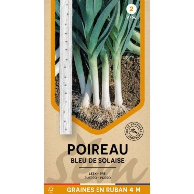 Poireau Bleu de Solaise en ruban