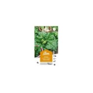 Epinard Géant d’Hiver (sachet)