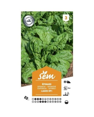 Epinard Lagos F1 (sachet)