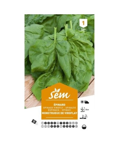 Epinard Monstrueux Viroflay (sachet)