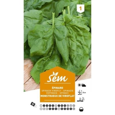 Epinard Monstrueux Viroflay (sachet)