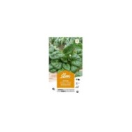 Epinard Matador d'été (sachet)