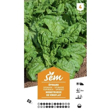 Epinard Monstrueux de Viroflay XXL (sachet)
