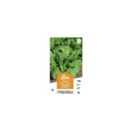 Epinard Monstrueux de Viroflay XXL (sachet)