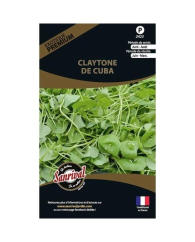 Claytone de cuba (pourpier d’hiver) (sachet)