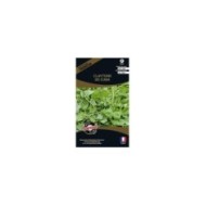 Claytone de cuba (pourpier d’hiver) (sachet)