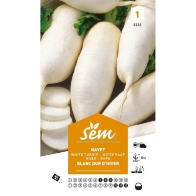 Navet blanc dur d’hiver (sachet)