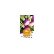 Navet rave d’Auvergne tardif (sachet)