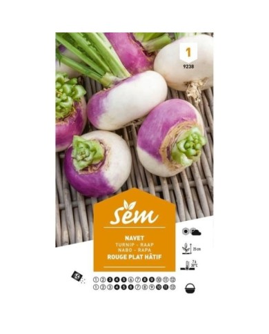 Navet rouge plat hâtif (sachet)