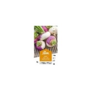 Navet rouge plat hâtif (sachet)