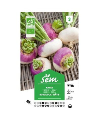 Navet rouge plat hâtif Bio (sachet)