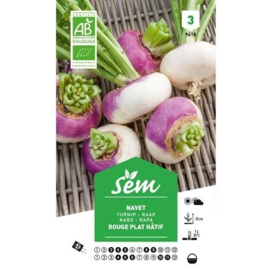 Navet rouge plat hâtif Bio (sachet)