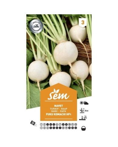 Navet blanc Fuku Komachi F1 (sachet)