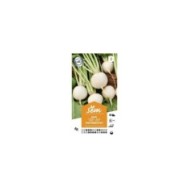 Navet blanc Fuku Komachi F1 (sachet)