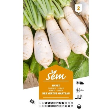 Navet vertus marteau (sachet)