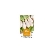 Navet vertus marteau (sachet)