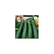 Courgette Baccara F1