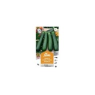 Courgette Baccara F1 (sachet)
