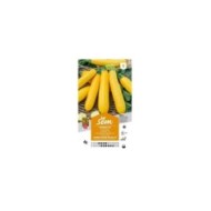 Courgette jaune Atena Polka F1 (sachet)