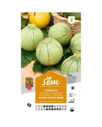 Courgette de Nice fruit rond (sachet)