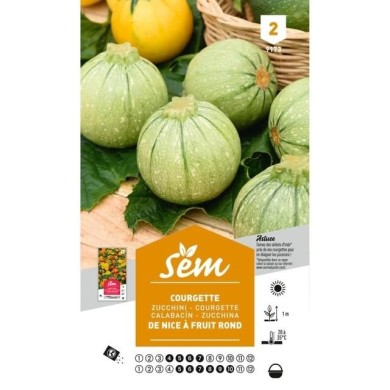 Courgette de Nice fruit rond (sachet)