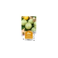 Courgette de Nice fruit rond (sachet)