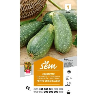 Courgette Petite grise d'Alger (sachet)