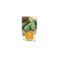 Courgette Petite grise d'Alger (sachet)