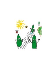 Courgette verte maraîchère