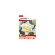 Narcisse White Lion - Lot de 5 bulbes, calibre 12+
