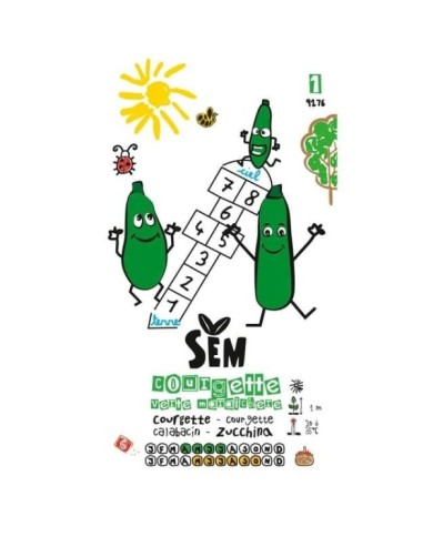 Courgette verte maraîchère (sachet)