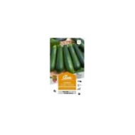 Courgette verte noire maraîchère (sachet)