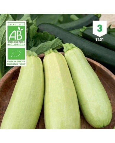 Courgette Blanche de Trieste Bio
