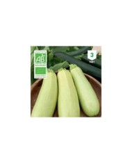 Courgette Blanche de Trieste Bio