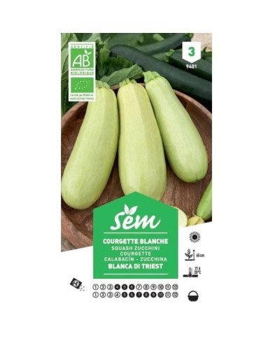 Courgette Blanche de Trieste Bio (sachet)