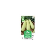Courgette Blanche de Trieste Bio (sachet)