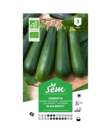 Courgette Black Beauty Bio (sachet)