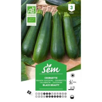 Courgette Black Beauty Bio (sachet)