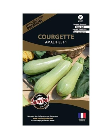 Courgette Amalthee F1 (sachet)